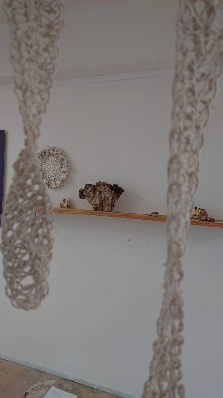 Joanne White ‘Can’t Swim Back, Scars’. (2019). Crochet Cotton. Mid term Exhibition March 2019