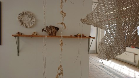 Joanne White Mid term Exhibition March 2019