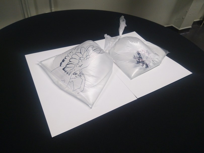 CASS to HOLLOWAY Popup